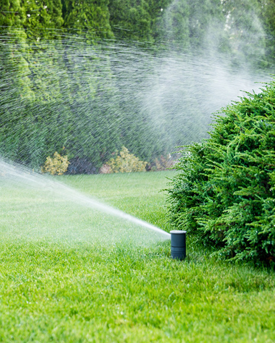 Lawn irrigation sprinkler distributing water for residential landscape irrigation.